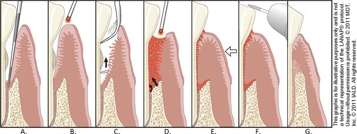 Ronny Khalek DDS